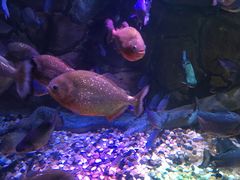 -多彩贵州城极地海洋世界