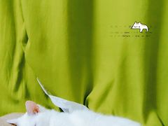-PETKIT小佩宠物(古北店)