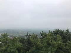 -上海佘山国家森林公园西佘山园