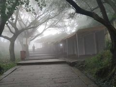 -普陀山风景区-佛顶山