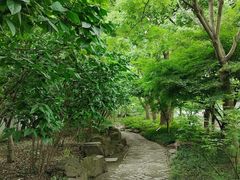 -秋霞圃
