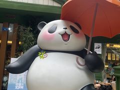 -轩客会(熊猫书店)