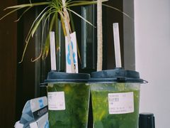 -introlemons(北京西单更新场店)