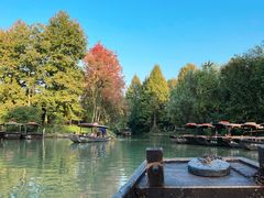 -西溪国家湿地公园