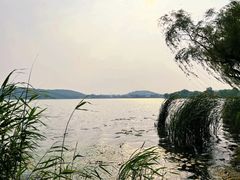 -渤公岛生态公园