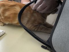 -瑞派动物医院·绝育·犬猫全科·预防医学(光景江南中店)