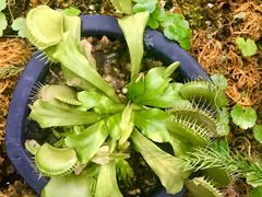 -南通洲际绿博园