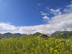 -新疆那拉提国家旅游度假区