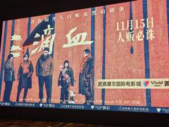 -武商摩尔影城(国广IMAX激光店)