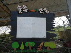 -鹿境梅花鹿生态园区