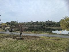 -白鹭湾湿地公园