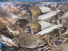 -蓝珊甄选海鲜自助·火锅大排档(近阿那亚店)