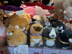 -DON DON DONKI(名珠城店)