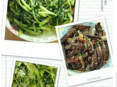-南汇老顾农家乐采摘大团水蜜桃采摘店