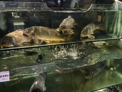 -胖姐渔村(中源大道店)