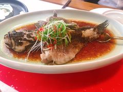 -荷风细雨·中国茶宴(碧云店)