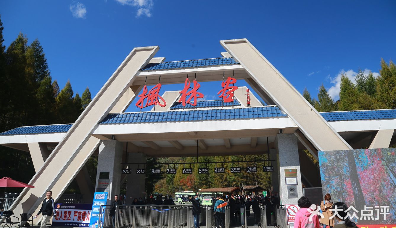 初见枫叶，并不满足
