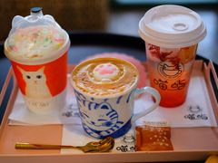 -喵屿·大理花园猫咖