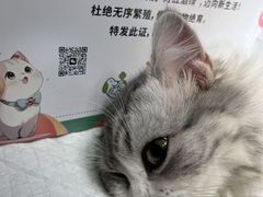 -守诺宠物医院·眼科· 神经外科·爬宠专科(虹口店)