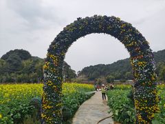 -广州市石门国家森林公园