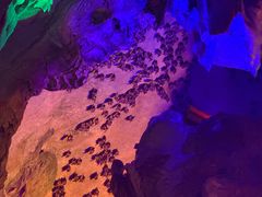 -伏牛地下河景区