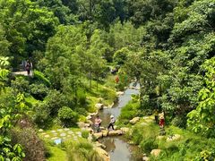 -云溪植物园