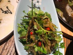-猫头婴小酒馆FUN OWL(1912店)