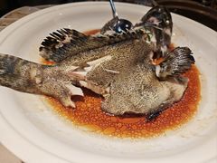 清蒸鲜活老虎斑-顺鹅季·非遗烧鹅(六道口店)