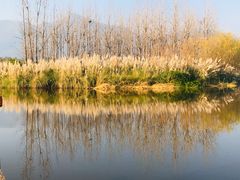-西昌邛海湿地
