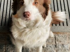 -COFFEE HOLIC(朝外SOHO店)