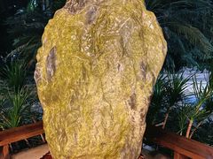 -龙达温泉生态城