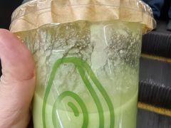 -油梨树 AVOCADO TREE(亮马桥店)