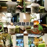 东方茶韵，今日新体验