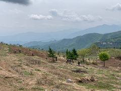 -阳台山自然风景区