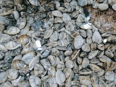 -鑫渔港海鲜本地菜·山海关浑锅(东戴河店)