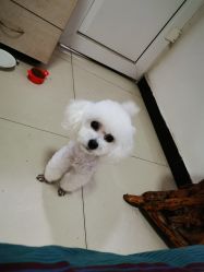 -煊私人定制美发会所