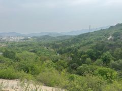 -白水寺森林公园