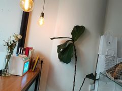 -常识咖啡common sense(春熙路店)