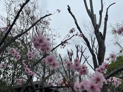 -和平公园