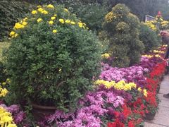 iphone_upload_pic-迎泽公园