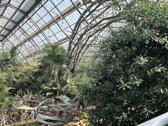 -南山植物园