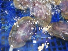 -活泼海鲜烧烤(美食街总店)