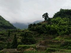android_upload_pic-林坑古村落
