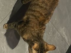 -叁 Three· bistro餐酒馆