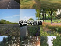 -汉长安城未央宫国家考古遗址公园