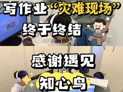 -知心鸟·注意力多动·情绪冲动·感统失调发育迟缓(五角场万达广场店)