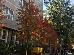 -北京外国语大学东院食堂