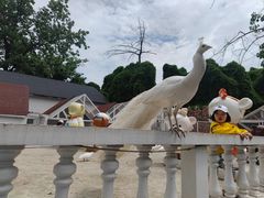 -金庭庄园酒店-停车场