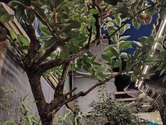 -后海16号·北京私房菜