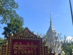 -西双版纳傣族园